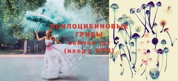 кокс Алексеевка